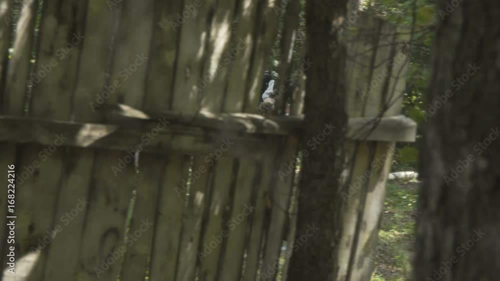 People play paintball in the woods People play paintball in the woods