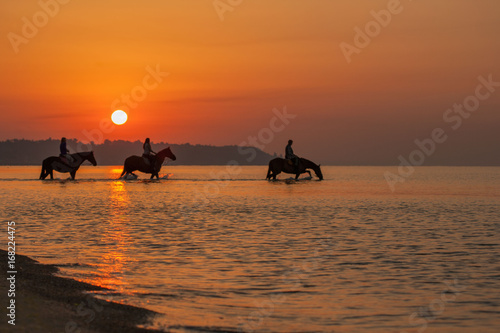 Horses bathe in the sea at dawn. Background of the beautiful sky and sunrise © linusik5