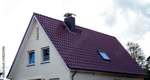 Tiled roof of the house