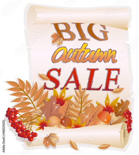 Big autumn sale background, vector illustration