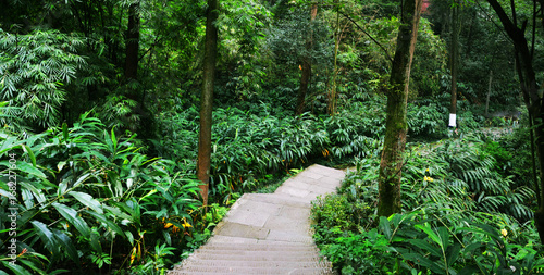 Leshan Buddha Complex