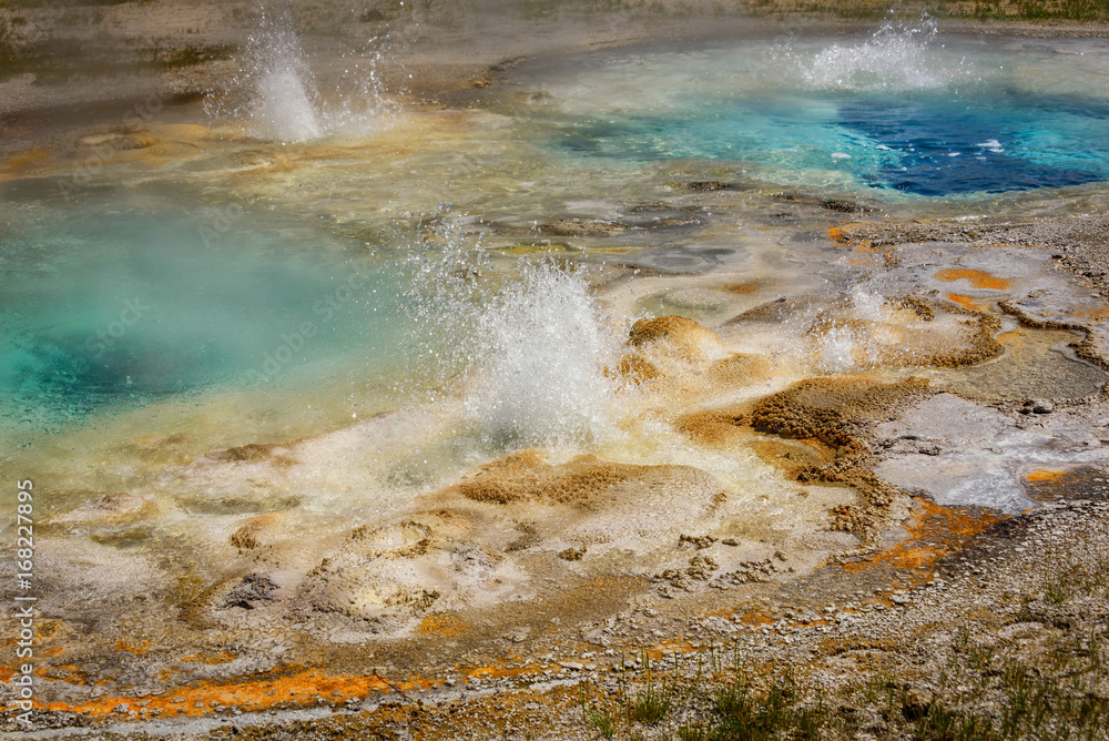 Erupting geysers in Spasmodic Geyser area, the Upper Geyser Basin, Yellowstone National Park, USA Erupting geysers in Spasmodic Geyser area, the Upper Geyser Basin, Yellowstone National Park, USA