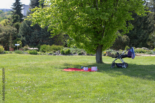 Baby carriage and picnic set in the park