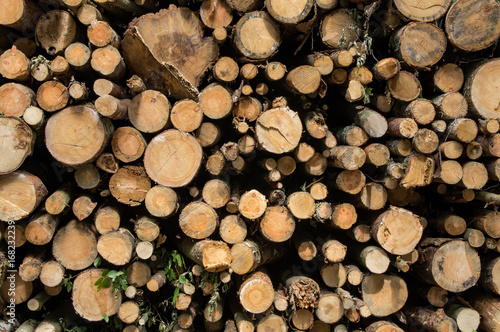 A background of a stack of logs.