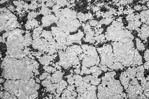 Texture black and white asphalt