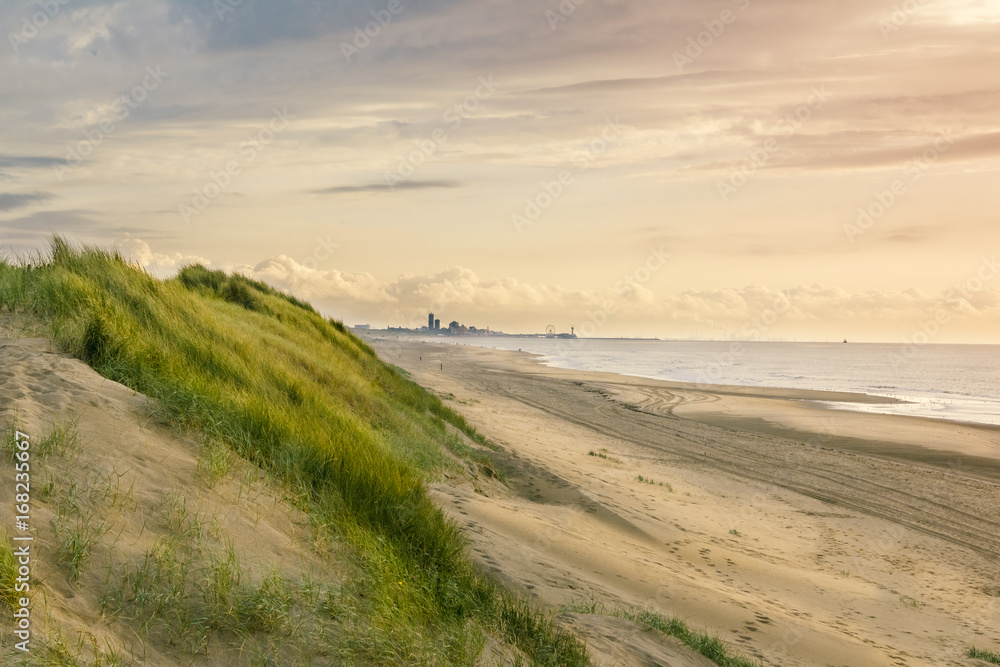 Sunset in Hollands dunes