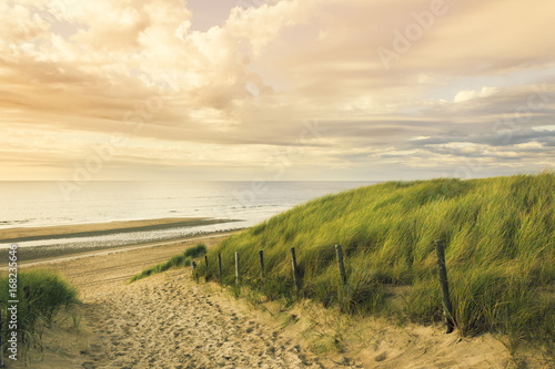 Hollands dunes beach way