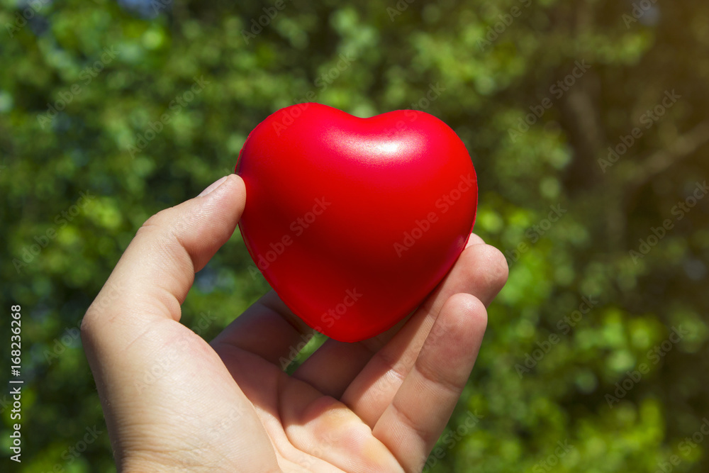  The toy heart lies in the hand, on a background of green leaves