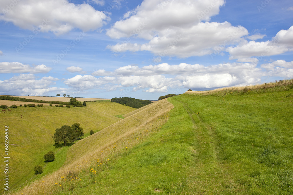 green grazing valley