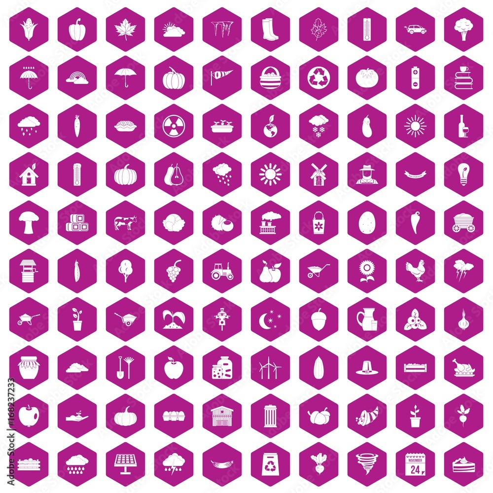 100 pumpkin icons hexagon violet 100 pumpkin icons hexagon violet