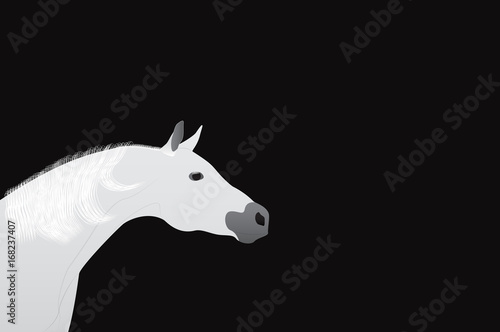 Horse head vector design on a black background