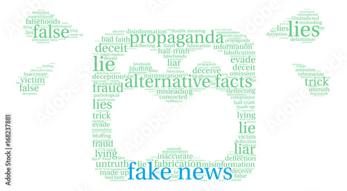 Fake News Word Cloud on a white background.