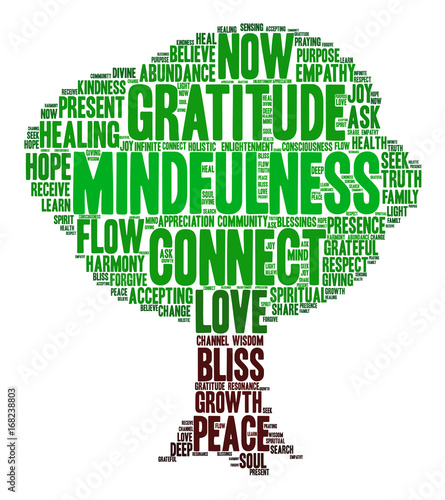 Mindfulness word cloud on a white background. 