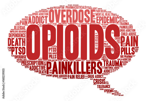 Opioids Word Cloud on a white background. 
