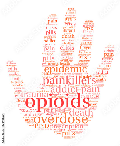 Opioids Word Cloud on a white background. 