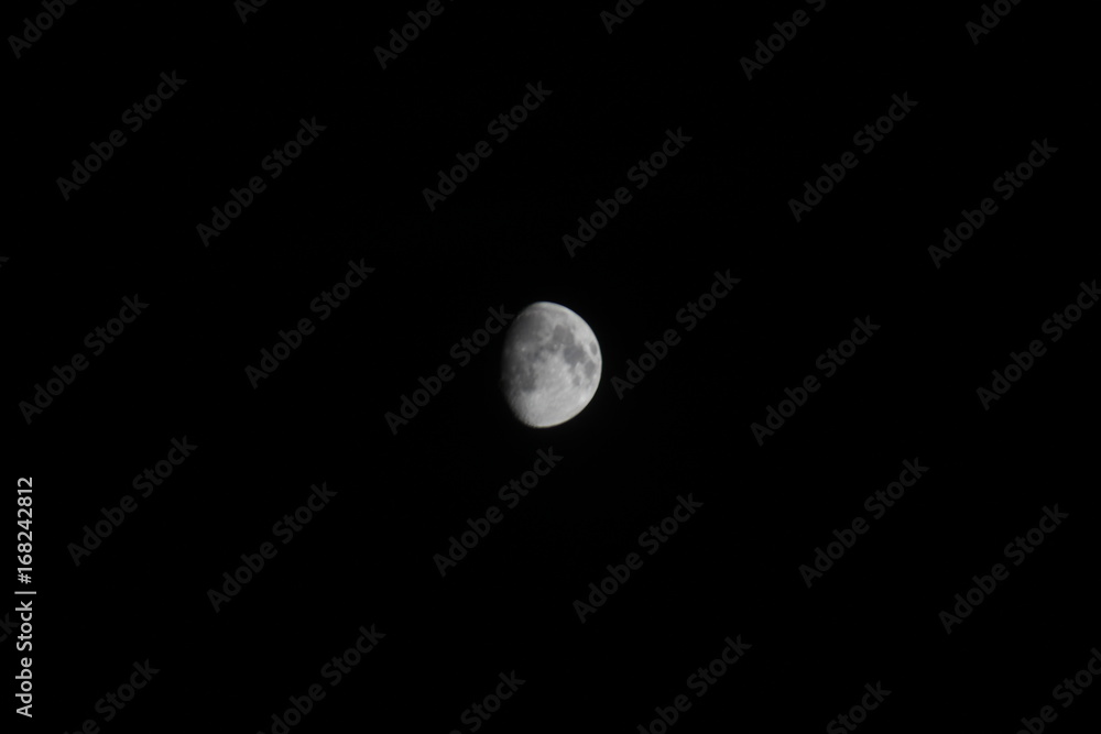 Lune Lune