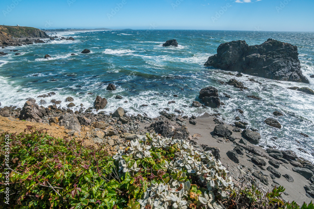 View of the beach from the cliff. Beautiful blue sea. Incredible landscape of the coast. Sonoma Coast State Park, California, USA View of the beach from the cliff. Beautiful blue sea. Incredible landscape of the coast. Sonoma Coast State Park, California, USA