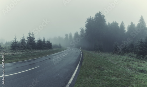 Road Through A Forest With Mourning Fog. Color Toning