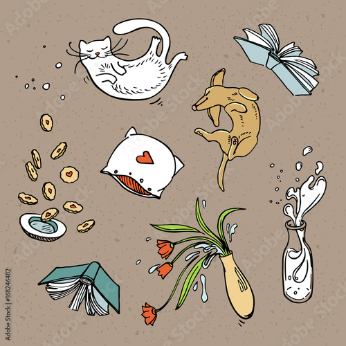 Set of flying home related objects, pets and food, drinks.