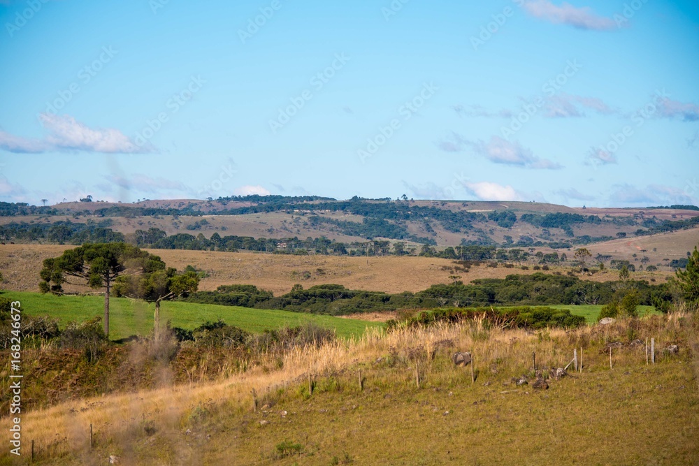 Naklejka premium Coxilha Rica