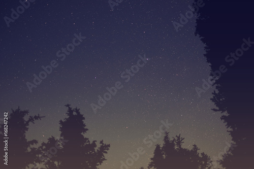 Starry sky in the mountains and forest
