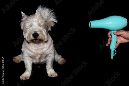 melena al viento