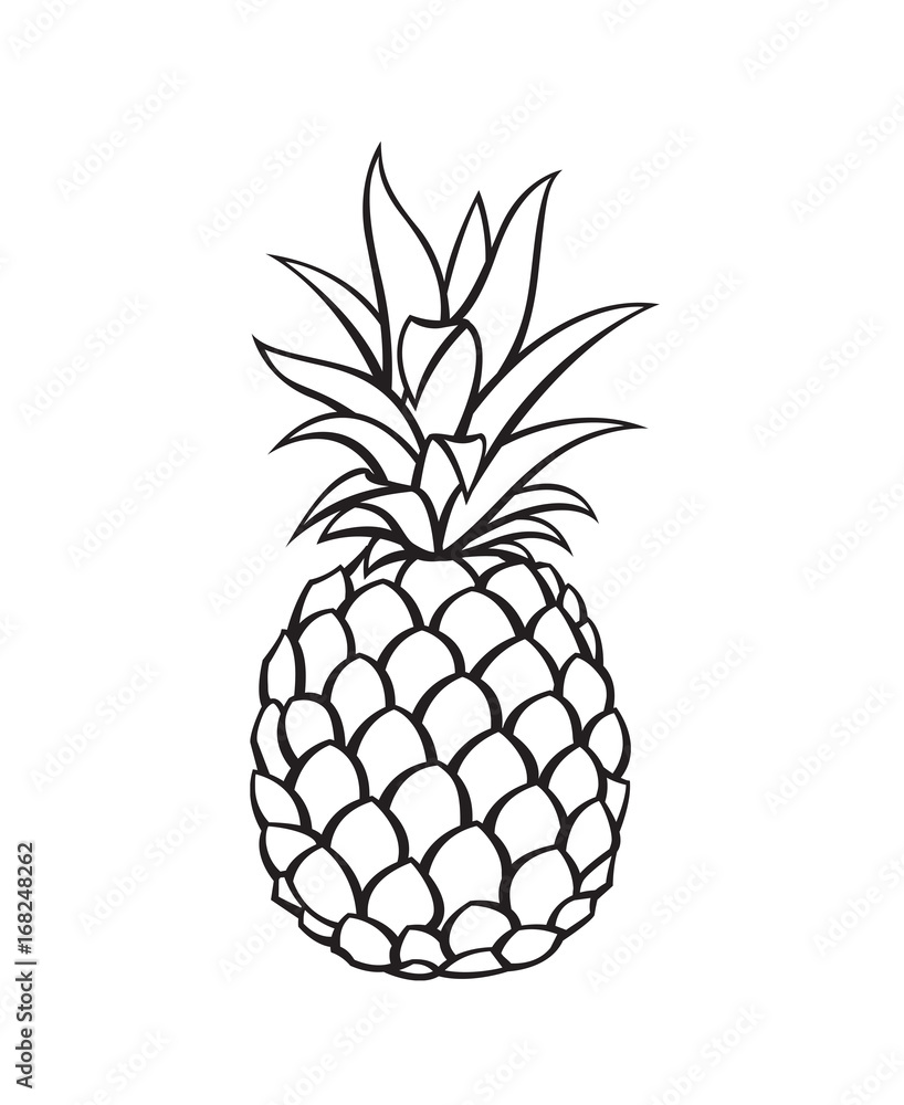 black image of pineapple tropical fruit black image of pineapple tropical fruit