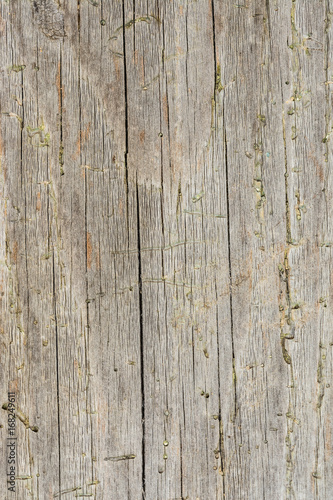 Dark texture of old natural wood with cracks from exposure to sun and wind