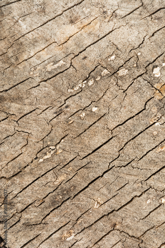 Dark texture of old natural wood with cracks from exposure to sun and wind Dark texture of old natural wood with cracks from exposure to sun and wind