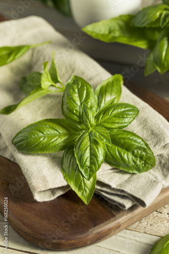 Raw Green Organic Basil Leaves