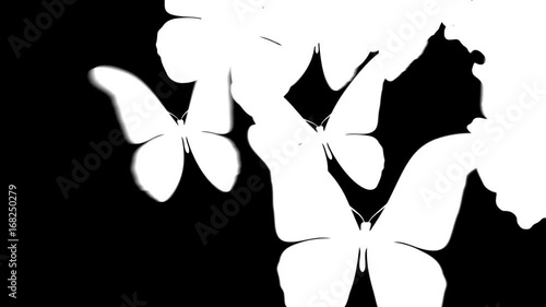 Art Butterflies flying. Set of beautiful wipe transitions with a luma matte channels.