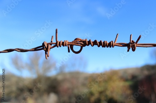 alambre de espinos