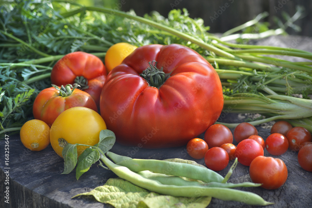 fresh vegetables fresh vegetables