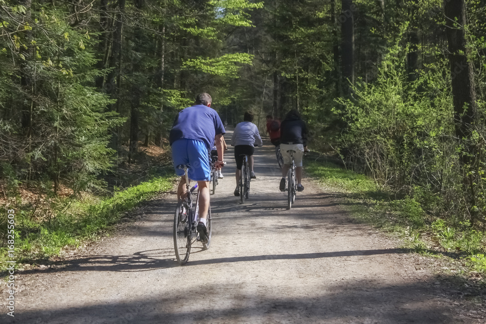 Obraz premium People riding bikes on a forest trail. Back view