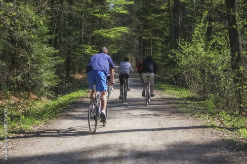 People riding bikes on a forest trail. Back view