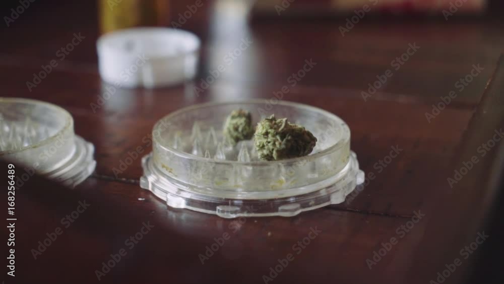 MARIJUANA IN GRINDER - FUJI COLOR GRADE MARIJUANA IN GRINDER - FUJI COLOR GRADE