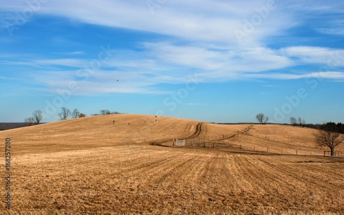 People Flying Kites in Field Hillside Open Winter Early Spring