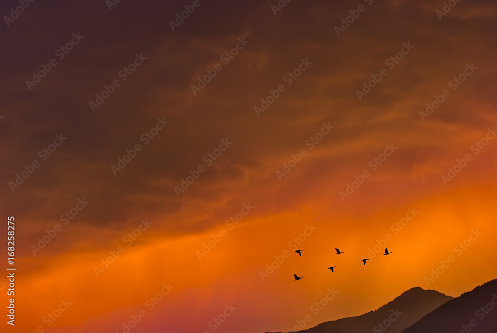 Birds flying at sunrise over the mountains autumn concept