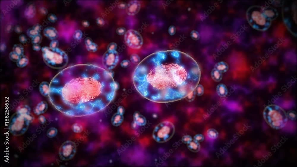 Abstract Cells or bacterias division under a microscope. 3d rendering. Abstract Cells or bacterias division under a microscope. 3d rendering.