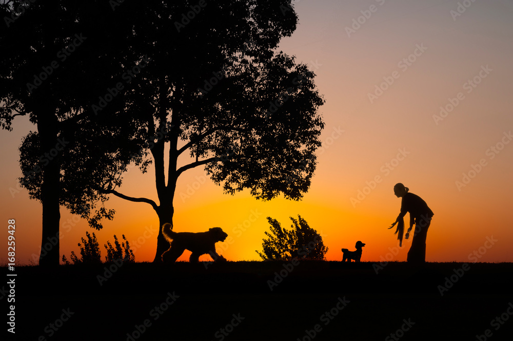 湖畔を散歩する女性と犬のシルエット
