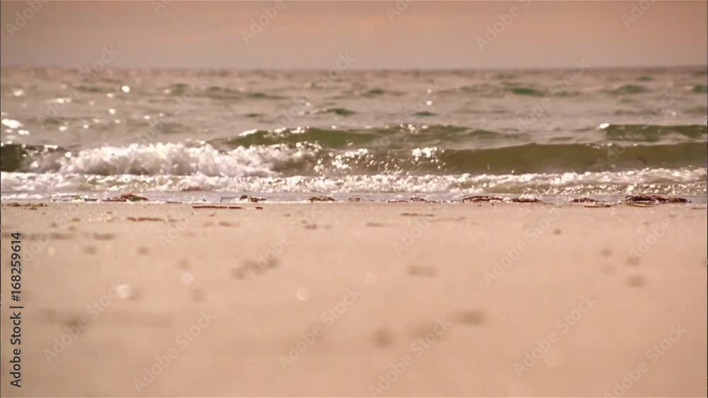 beach wave tide Seascape beach wave tide Seascape