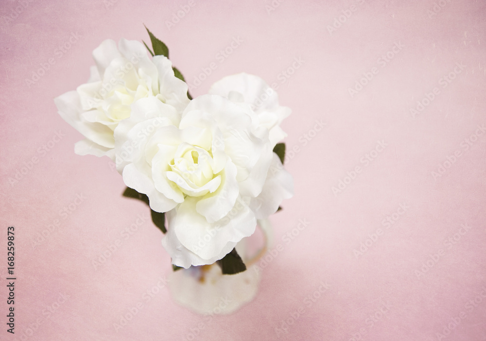 Beautiful White Silk Rose Flowers on a Pink Background Beautiful White Silk Rose Flowers on a Pink Background