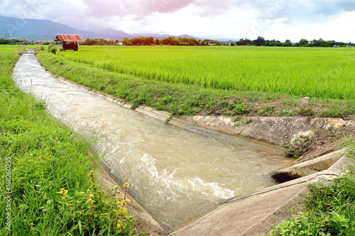 Tapet irrigation water canal for paddy rice field in Thailand.