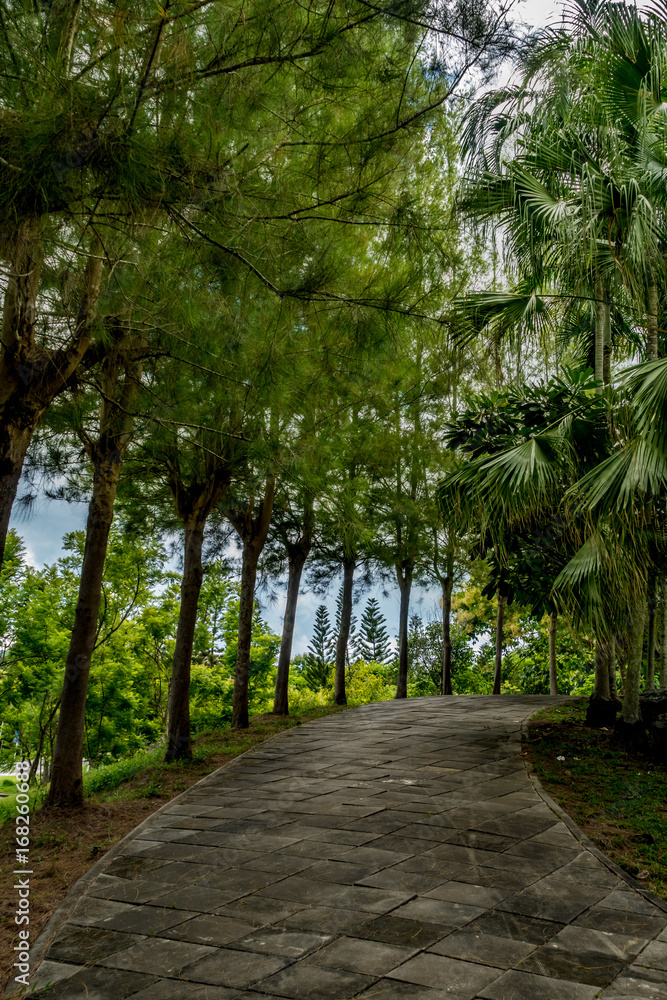 Concrete Pathway in garden