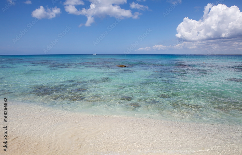 Fototapeta premium Caribbean sea
