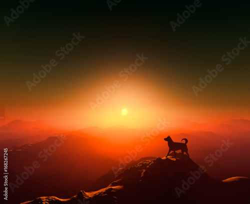 日の出を見る犬のシルエット 