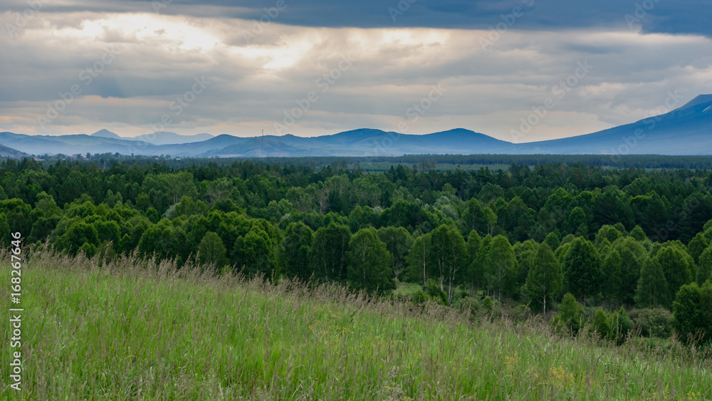 Fototapeta premium Tall grass meadow with the forest, mountains and cloudy sky in the background