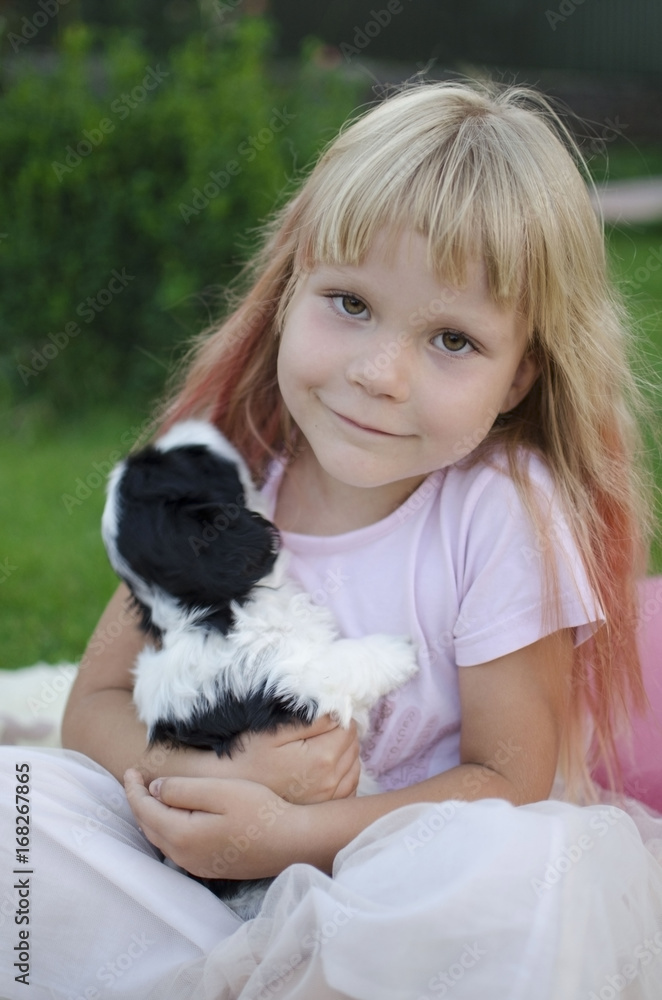 Puppy shih tzu. Black and white puppy on girl's hands. Little girl hugs little puppy. Cute blond girl hugs her pet. Puppy shih tzu. Black and white puppy on girl's hands. Little girl hugs little puppy. Cute blond girl hugs her pet.