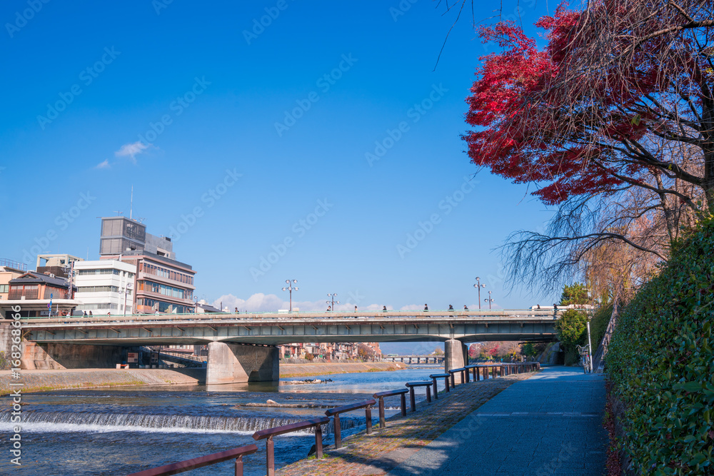 京都　鴨川の紅葉　四条大橋 