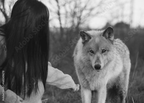 Working With Wolves